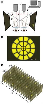 Localization of Neuronal Gain Control in the Pupillary Response